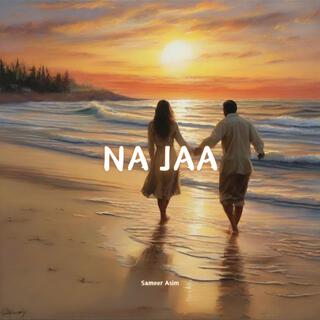 Na Jaa lyrics | Boomplay Music