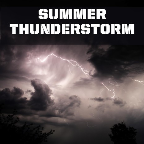 Summer Thunderstorm XIV