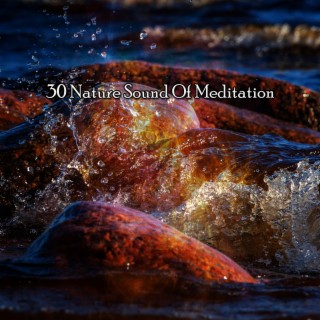 30 Nature Sound Of Meditation