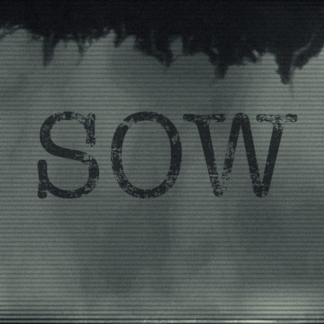 Sow | Boomplay Music