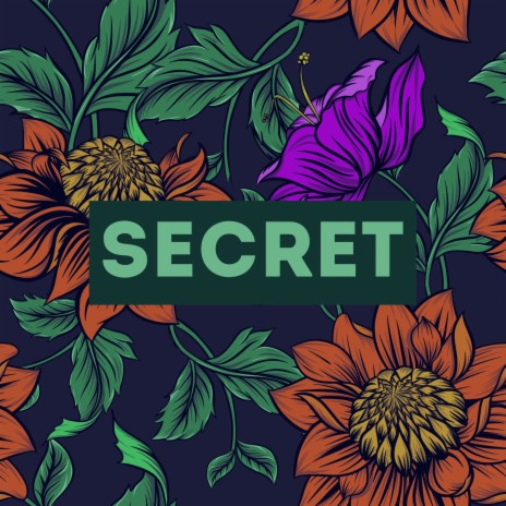 Secret | Boomplay Music