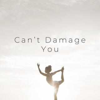 Can't Damage You