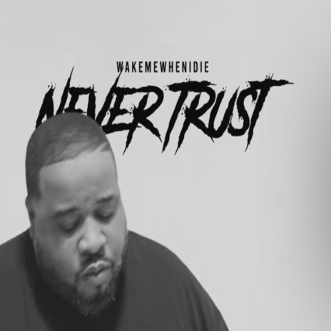 Never Trust | Boomplay Music
