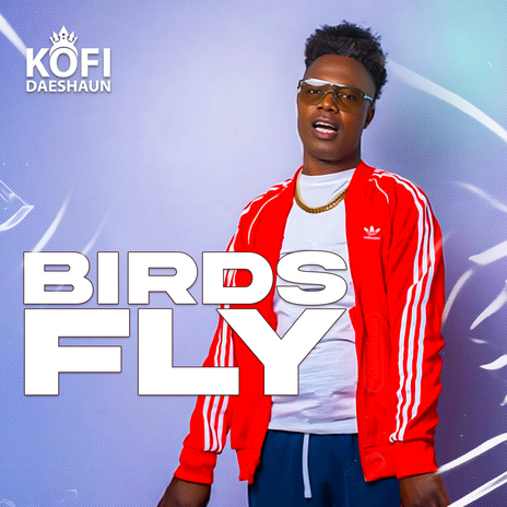 Birds Fly | Boomplay Music