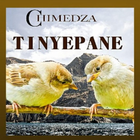 Tinyepane | Boomplay Music