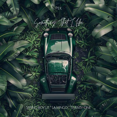 Something That I Like (STIL) ft. Spring Boy Lit, La Mingo & Twenty One | Boomplay Music