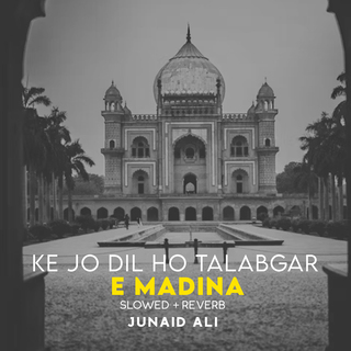 Ke Jo Dil Ho Talabgar e Madina Lofi