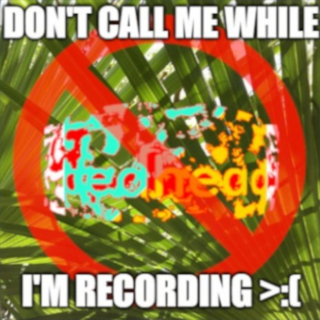 DON'T CALL ME WHILE I'M RECORDING >:(ft. bedhead | Boomplay Music