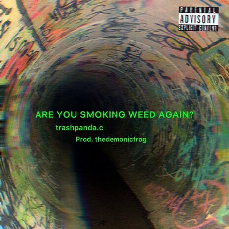 ARE YOU SMOKING WEED AGAIN? #420 pr0d by thedemonicfrog -thetrashpanda.c ft. thetrashpanda.c | Boomplay Music