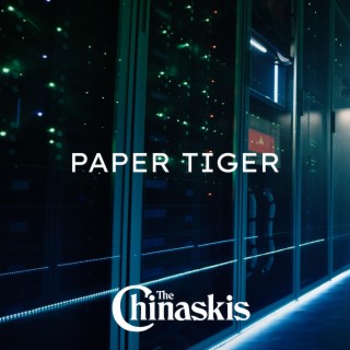 Paper Tiger lyrics | Boomplay Music