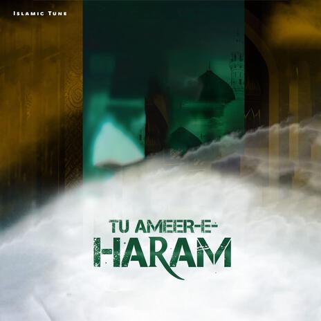 Tu Ameer E Haram | Boomplay Music