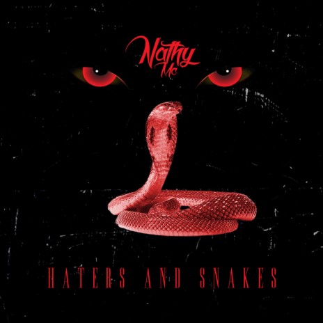 Haters And Snakes (feat. Nathy Mc) | Boomplay Music