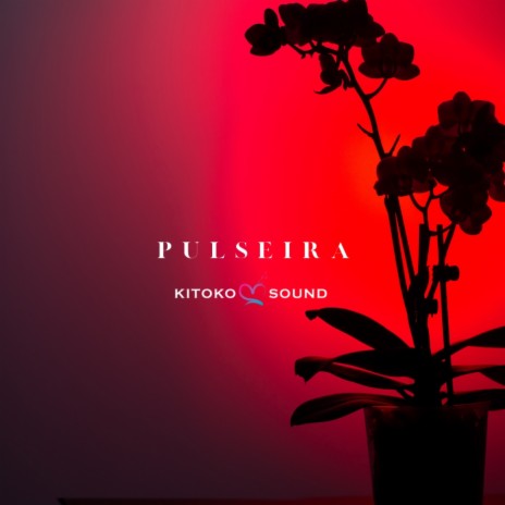Pulseira ft. Afro Zen, Arándano, Jazzy Rhodes & Din BEATS