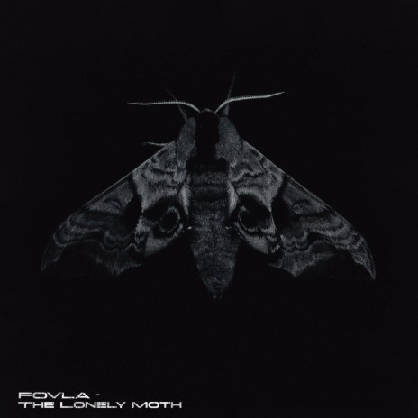 The Lonely Moth | Boomplay Music