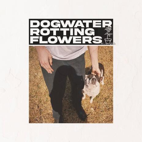 Rotting Flowers | Boomplay Music