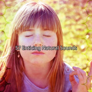 57 Enticing Natural Sounds