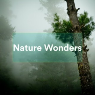 Nature Wonders