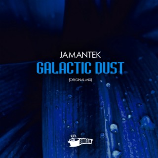 Galactic Dust