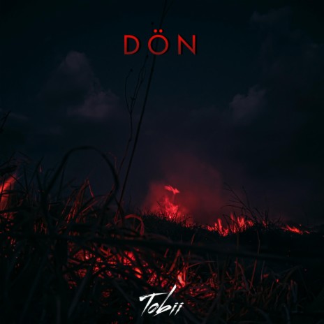 DÖN | Boomplay Music