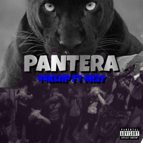 Pantera ft. Mi2Y | Boomplay Music