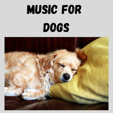 Dog Chill ft. Music For Dogs Peace, Relaxing Puppy Music & Calm Pets Music Academy