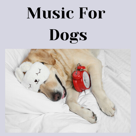 Chill Sleep ft. Music For Dogs Peace, Relaxing Puppy Music & Calm Pets Music Academy