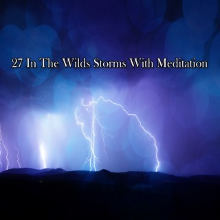 27 In The Wilds Storms With Meditation