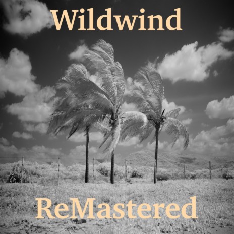 Wildwind | Boomplay Music