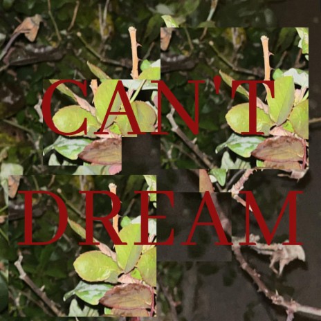 Can't Dream | Boomplay Music