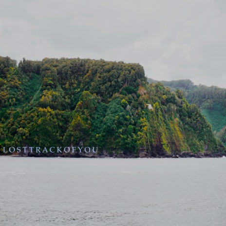 Lost Track Of You | Boomplay Music