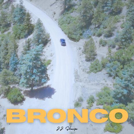 Bronco | Boomplay Music