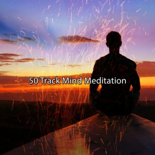 50 Track Mind Meditation
