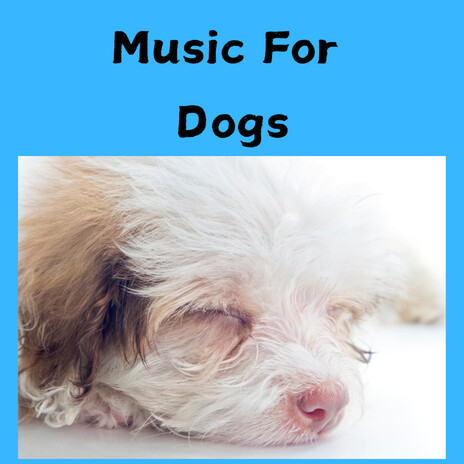 Dog Relaxation ft. Music For Dogs Peace, Relaxing Puppy Music & Calm Pets Music Academy