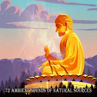 72 Ambient Sounds Of Natural Sources