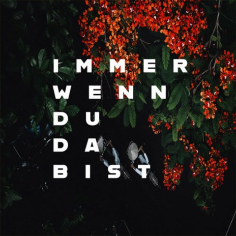 Immer wenn du da Bist | Boomplay Music