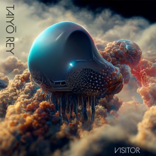 Visitor