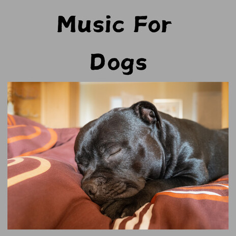 Relaxation for Hyper Dogs ft. Music For Dogs Peace, Relaxing Puppy Music & Calm Pets Music Academy