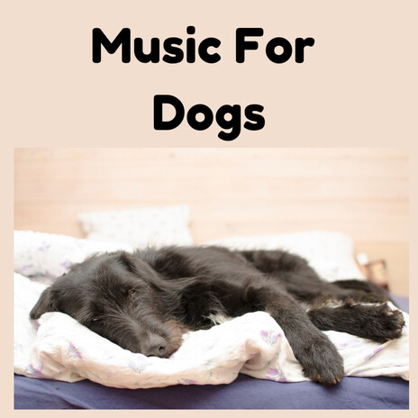 Sleepy Dog Music ft. Music For Dogs Peace, Relaxing Puppy Music & Calm Pets Music Academy