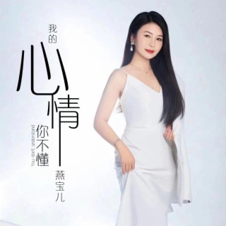 我的心情你不懂 lyrics | Boomplay Music