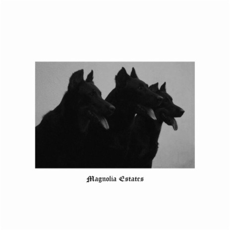 Magnolia Estates | Boomplay Music