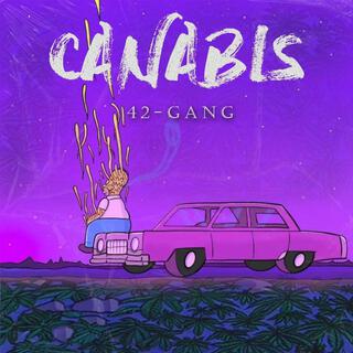 42 Gang (canabis -)