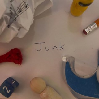 Junk (The Rejected Tracks)