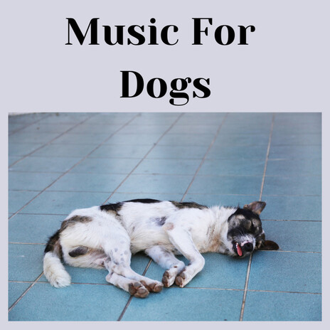Snoring Dog ft. Music For Dogs Peace, Relaxing Puppy Music & Calm Pets Music Academy