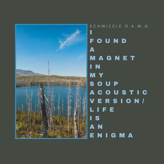 I Found a Magnet in My Soup (Acoustic Version) / Life Is an Enigma