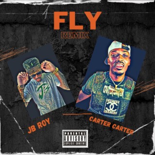 Fly (Remix)