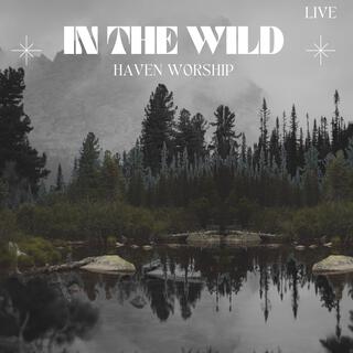 In the Wild (Live)