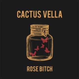 Cactus Vella