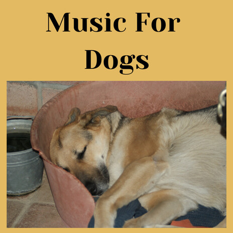 Puppy Lullaby ft. Music For Dogs Peace, Relaxing Puppy Music & Calm Pets Music Academy