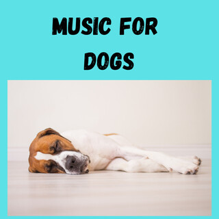 Music For Dogs