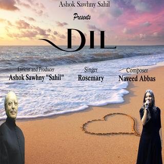 DIL